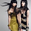 The Veronicas 