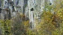 民乐群星 - 听松