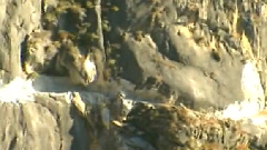 民乐群星 - 春到人间