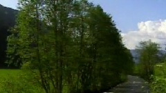 民乐群星 - 幽兰逢春