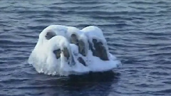 民乐群星 - 喜相逢