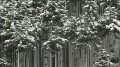 民乐群星 - 庆丰收