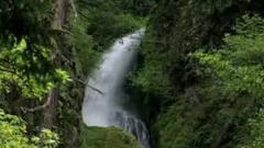 L'eau de Cristal (Relaxing music)