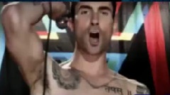 Moves Like Jagger T.S.D.