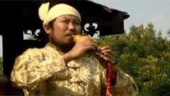 缅桂花开十里香