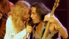 Live In The Still Of The Night 2006