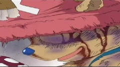 绽放在冬季的奇迹樱花