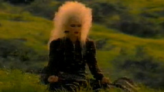 Flight Of The Bumblebee