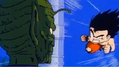 当初一直在追的七龙珠