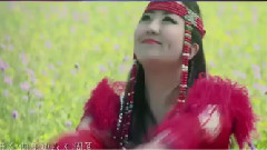 羞答答的玫瑰唱情歌