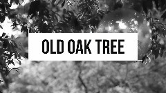 Little Bit Of Everything