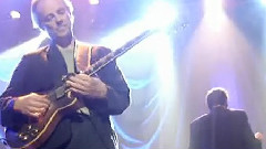 Snowy White - Bird Of Paradise