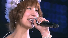 涙のせいじゃない