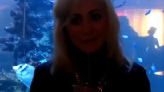 给粉丝的最新消息