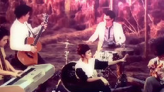 ผีเสื้อที่หายไป