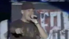 Where'd You Go Summer Sonic