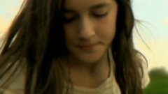 Luciernagas Y Mariposas