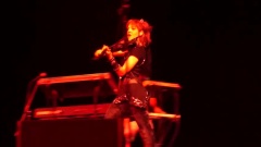 Electric Daisy Violin