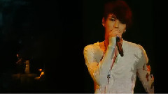 只属于我的安慰