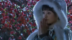 红颜劫 电视剧<甄嬛传>剪辑版