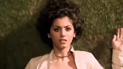 Nine Million Bicycles