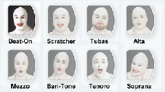 Meet the Voca People!