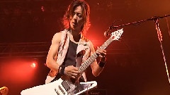 Live For All Live For One 2008