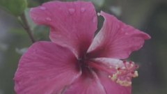 Falling Through The Rain