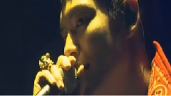 2011 YG Famliy Concert BigBang Cut