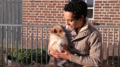 My Little Dog Had Puppies