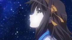 冒险でしょでしょ