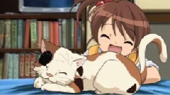 ハレ晴レユカイ