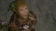 五百年桑田沧海