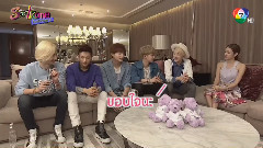 Satzone Special UNIQ Cut