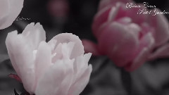 Brian Crain - Pastel Garden