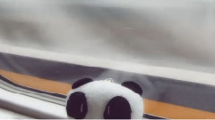 你好,台北 带黄子韬游台北