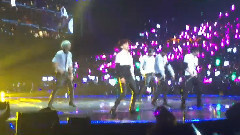 蝴蝶少女 & Play Boy