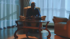 Morning In Dandelion Fluff