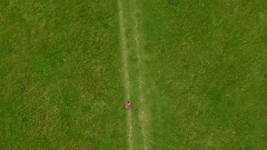 Tom Rosenthal - Run For Those Hills,Babe