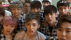 Showchampion Back Stage