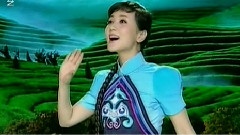 张燕 - 美丽的旗帜