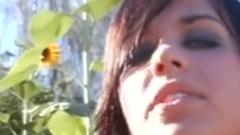 Beauty Through Broken Glass