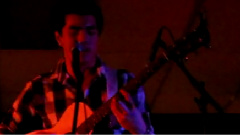 Im Yours Three Little Birds