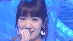 ラブラドール.レトリバー