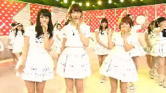 Labrador Retriever Talk