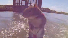 Brad Paisley - River Bank