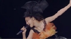 2010万圣节快乐演唱会