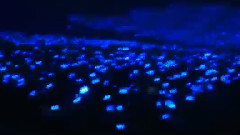 东海IG更新:Fukuoka Dome