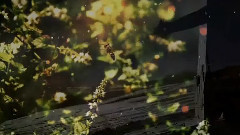 Depeche Mode,音乐短片 - The Love Thieves (Trance Mix 2014 Dj Jean Alpohin)