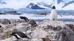 Depeche Mode,音乐短片 - Heaven (Trance Mix 2014 DJ )